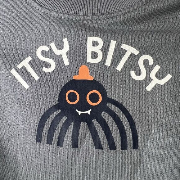 Infant Gray Spider Halloween Sweatshirt & Pants Set Itsy Bitsy Spider Newborn - Picture 2 of 5